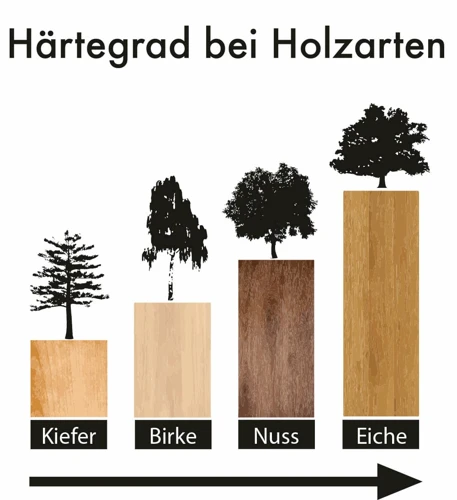 Nachhaltige Holzarten Für Den Innenbereich