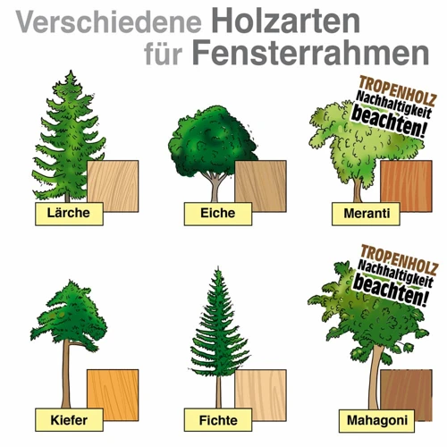 Pflege Von Hartholzarten