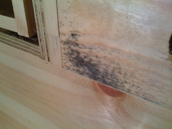 So Können Sie Schäden An Holz Durch Feuchtigkeit Vermeiden