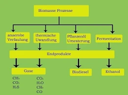 Technologien Zur Umwandlung Von Holzabfällen In Biomasse