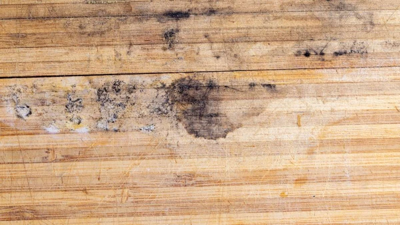 Tipps Für Die Vorbeugung Von Holzschäden Durch Feuchtigkeit