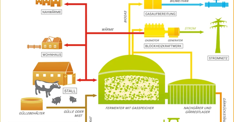Wie Wird Biomasse Gelagert Und Transportiert?